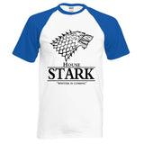 Raglan Tee House Stark letters Winter Is Coming t shirt