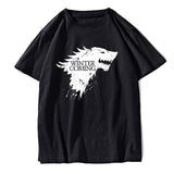 Wınter is Coming Game of thrones men T shirt