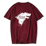 Wınter is Coming Game of thrones men T shirt
