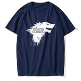 Wınter is Coming Game of thrones men T shirt