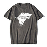 Wınter is Coming Game of thrones men T shirt