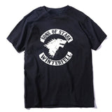 Wınter is Coming Game of thrones men T shirt