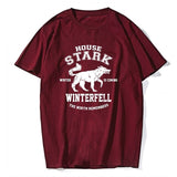 Wınter is Coming Game of thrones men T shirt