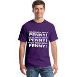 Sheldon Cooper's Knock Penny